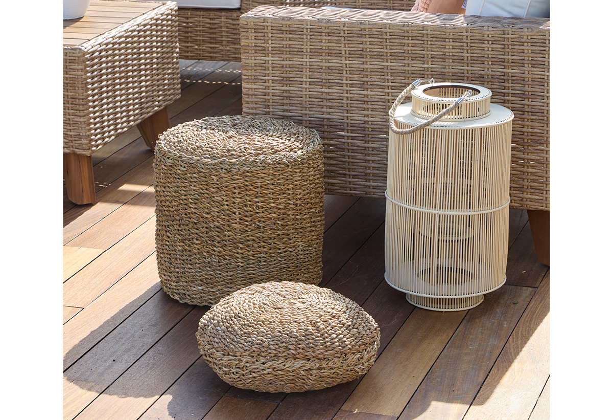 Απεικονίζεται το σκαμπώ